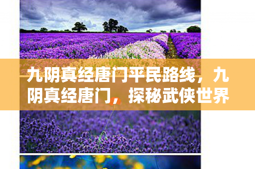九阴真经唐门平民路线，九阴真经唐门，探秘武侠世界的隐秘门派