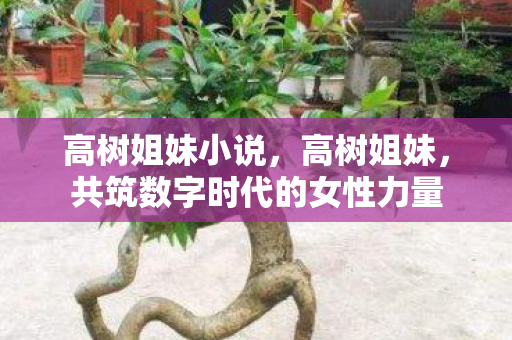高树姐妹小说，高树姐妹，共筑数字时代的女性力量