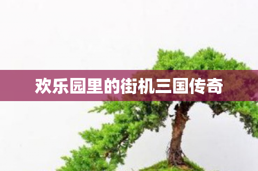 欢乐园里的街机三国传奇 欢乐园里的街机三国传奇