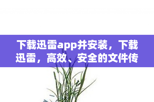 下载迅雷app并安装，下载迅雷，高效、安全的文件传输利器