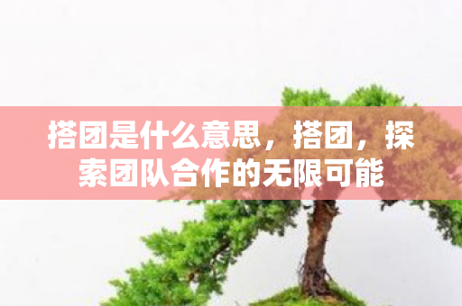 搭团是什么意思,搭团,探索团队合作的无限可能 搭团是什么意思,搭团,探索团队合作的无限可能