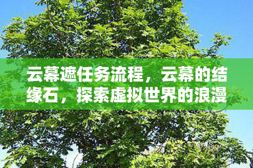 云幕遮任务流程，云幕的结缘石，探索虚拟世界的浪漫邂逅