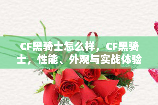 CF黑骑士怎么样，CF黑骑士，性能、外观与实战体验全面解析