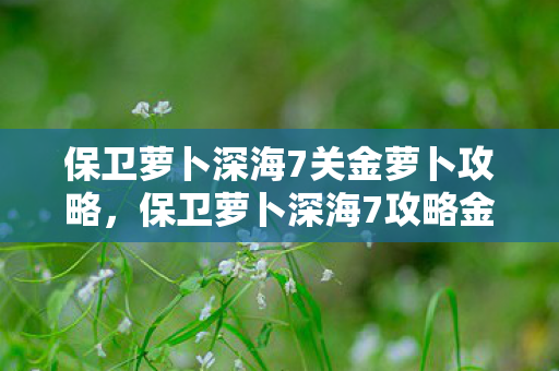 保卫萝卜深海7关金萝卜攻略,保卫萝卜深海7攻略金萝卜布阵图 保卫萝卜深海7关金萝卜攻略,保卫萝卜深海7攻略金萝卜布阵图