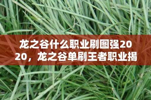 龙之谷什么职业刷图强2020，龙之谷单刷王者职业揭秘