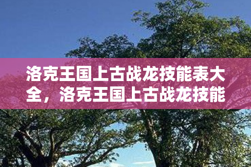 洛克王国上古战龙技能表大全，洛克王国上古战龙技能表深度解析