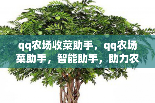 qq农场收菜助手,qq农场菜助手,智能助手,助力农场高效管理 qq农场收菜助手,qq农场菜助手,智能助手,助力农场高效管理