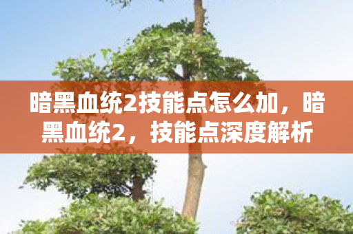 暗黑血统2技能点怎么加,暗黑血统2,技能点深度解析与策略搭配 暗黑血统2技能点怎么加,暗黑血统2,技能点深度解析与策略搭配