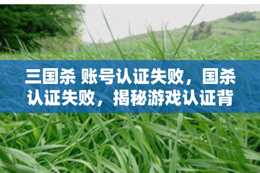 三国杀 账号认证失败,国杀认证失败,揭秘游戏认证背后的挑战与应对 三国杀 账号认证失败,国杀认证失败,揭秘游戏认证背后的挑战与应对