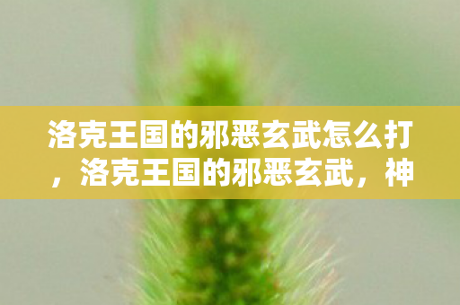 洛克王国的邪恶玄武怎么打,洛克王国的邪恶玄武,神秘与力量的交织 洛克王国的邪恶玄武怎么打,洛克王国的邪恶玄武,神秘与力量的交织