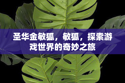 圣华金敏狐,敏狐,探索游戏世界的奇妙之旅 圣华金敏狐,敏狐,探索游戏世界的奇妙之旅