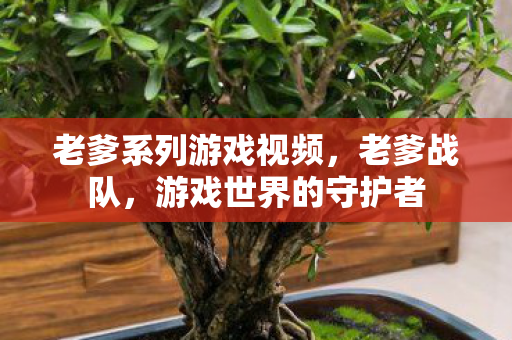 老爹系列游戏视频,老爹战队,游戏世界的守护者 老爹系列游戏视频,老爹战队,游戏世界的守护者