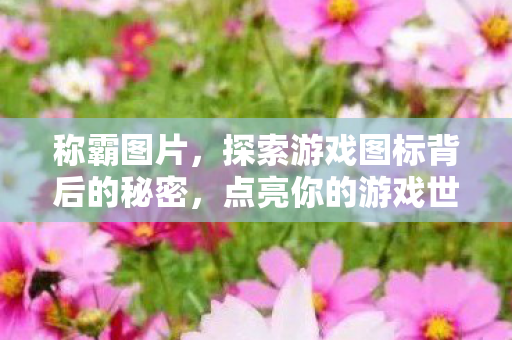 称霸图片，探索游戏图标背后的秘密，点亮你的游戏世界