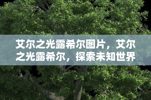 艾尔之光露希尔图片,艾尔之光露希尔,探索未知世界的奇幻之旅 艾尔之光露希尔图片,艾尔之光露希尔,探索未知世界的奇幻之旅