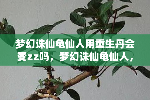 梦幻诛仙龟仙人用重生丹会变zz吗,梦幻诛仙龟仙人,传奇再现,经典永存 梦幻诛仙龟仙人用重生丹会变zz吗,梦幻诛仙龟仙人,传奇再现,经典永存