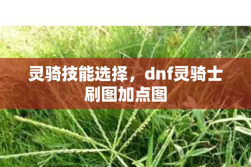 灵骑技能选择，dnf灵骑士刷图加点图