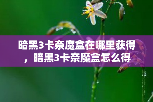 暗黑3卡奈魔盒在哪里获得,暗黑3卡奈魔盒怎么得 暗黑3卡奈魔盒在哪里获得,暗黑3卡奈魔盒怎么得