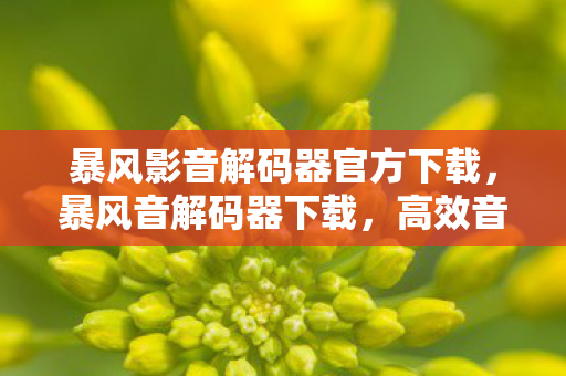 暴风影音解码器官方下载,暴风音解码器下载,高效音频解码,畅享音乐盛宴 暴风影音解码器官方下载,暴风音解码器下载,高效音频解码,畅享音乐盛宴