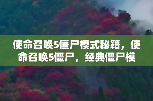 使命召唤5僵尸模式秘籍,使命召唤5僵尸,经典僵尸模式再续传奇 使命召唤5僵尸模式秘籍,使命召唤5僵尸,经典僵尸模式再续传奇