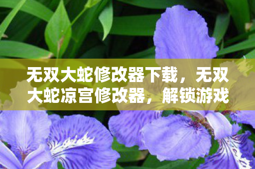 无双大蛇修改器下载，无双大蛇凉宫修改器，解锁游戏新境界的利器