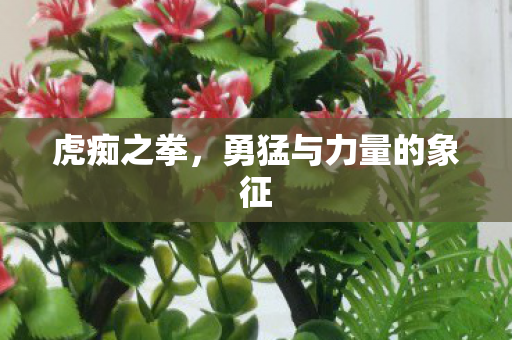 虎痴之拳,勇猛与力量的象征 虎痴之拳,勇猛与力量的象征