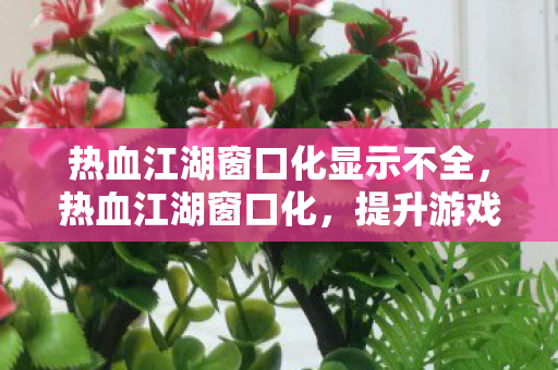 热血江湖窗口化显示不全，热血江湖窗口化，提升游戏体验的必备利器