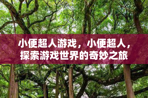 小便超人游戏,小便超人,探索游戏世界的奇妙之旅 小便超人游戏,小便超人,探索游戏世界的奇妙之旅