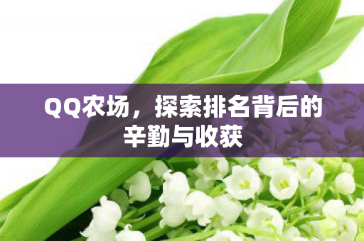 QQ农场,探索排名背后的辛勤与收获 QQ农场,探索排名背后的辛勤与收获