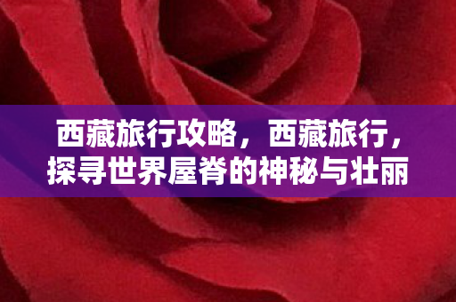 西藏旅行攻略，西藏旅行，探寻世界屋脊的神秘与壮丽