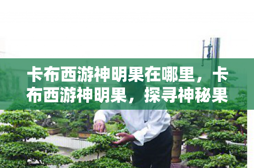 卡布西游神明果在哪里，卡布西游神明果，探寻神秘果树的奥秘