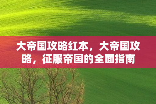 大帝国攻略红本,大帝国攻略,征服帝国的全面指南 大帝国攻略红本,大帝国攻略,征服帝国的全面指南
