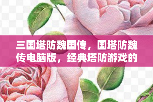 三国塔防魏国传,国塔防魏传电脑版,经典塔防游戏的数字化重生 三国塔防魏国传,国塔防魏传电脑版,经典塔防游戏的数字化重生