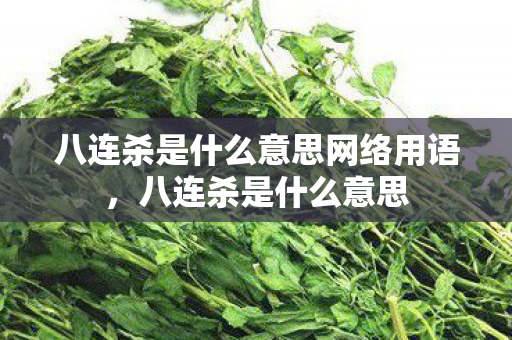 八连杀是什么意思网络用语,八连杀是什么意思 八连杀是什么意思网络用语,八连杀是什么意思