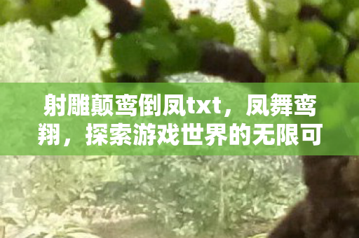 射雕颠鸾倒凤txt,凤舞鸾翔,探索游戏世界的无限可能 射雕颠鸾倒凤txt,凤舞鸾翔,探索游戏世界的无限可能