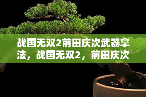 战国无双2前田庆次武器拿法,战国无双2,前田庆次的传奇之路 战国无双2前田庆次武器拿法,战国无双2,前田庆次的传奇之路
