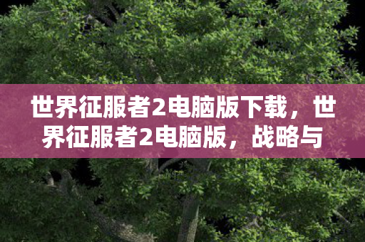 世界征服者2电脑版下载，世界征服者2电脑版，战略与征服的极致体验
