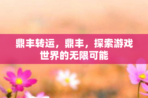 鼎丰转运，鼎丰，探索游戏世界的无限可能