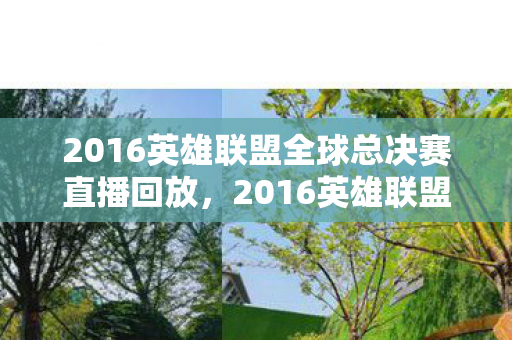 2016英雄联盟全球总决赛直播回放，2016英雄联盟全球总决赛直播，激情与梦想的碰撞
