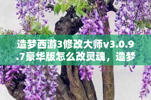 造梦西游3修改大师v3.0.9.7豪华版怎么改灵魂,造梦西游3修改大师豪华版,解锁无限可能的冒险之旅 造梦西游3修改大师v3.0.9.7豪华版怎么改灵魂,造梦西游3修改大师豪华版,解锁无限可能的冒险之旅