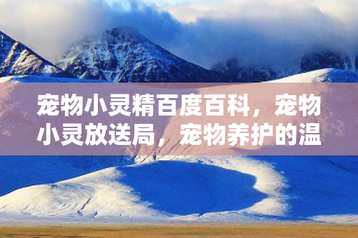 宠物小灵精百度百科，宠物小灵放送局，宠物养护的温馨小贴士
