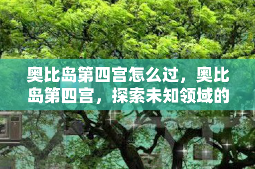 奥比岛第四宫怎么过，奥比岛第四宫，探索未知领域的奇幻之旅