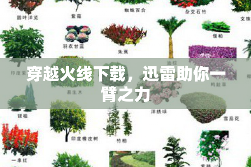 穿越火线下载,迅雷助你一臂之力 穿越火线下载,迅雷助你一臂之力
