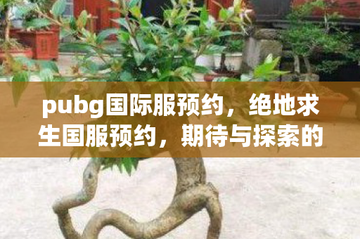 pubg国际服预约,绝地求生国服预约,期待与探索的旅程 pubg国际服预约,绝地求生国服预约,期待与探索的旅程