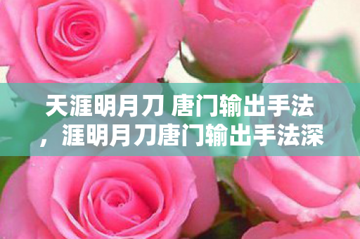 天涯明月刀 唐门输出手法,涯明月刀唐门输出手法深度解析 天涯明月刀 唐门输出手法,涯明月刀唐门输出手法深度解析