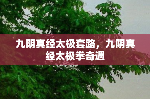 九阴真经太极套路，九阴真经太极拳奇遇