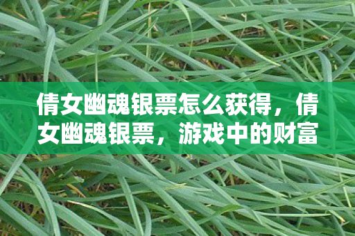 倩女幽魂银票怎么获得，倩女幽魂银票，游戏中的财富密码与策略运用