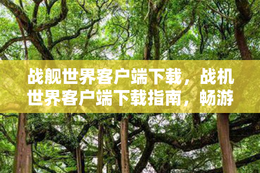 战舰世界客户端下载,战机世界客户端下载指南,畅游蓝天,尽享飞行盛宴 战舰世界客户端下载,战机世界客户端下载指南,畅游蓝天,尽享飞行盛宴