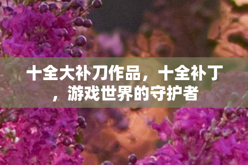 十全大补刀作品,十全补丁,游戏世界的守护者 十全大补刀作品,十全补丁,游戏世界的守护者