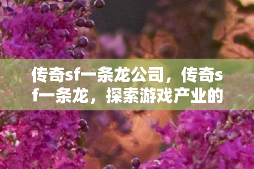 传奇sf一条龙公司,传奇sf一条龙,探索游戏产业的新模式 传奇sf一条龙公司,传奇sf一条龙,探索游戏产业的新模式