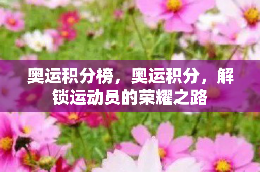 奥运积分榜，奥运积分，解锁运动员的荣耀之路